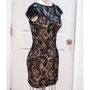 Lace Bodycon Dress